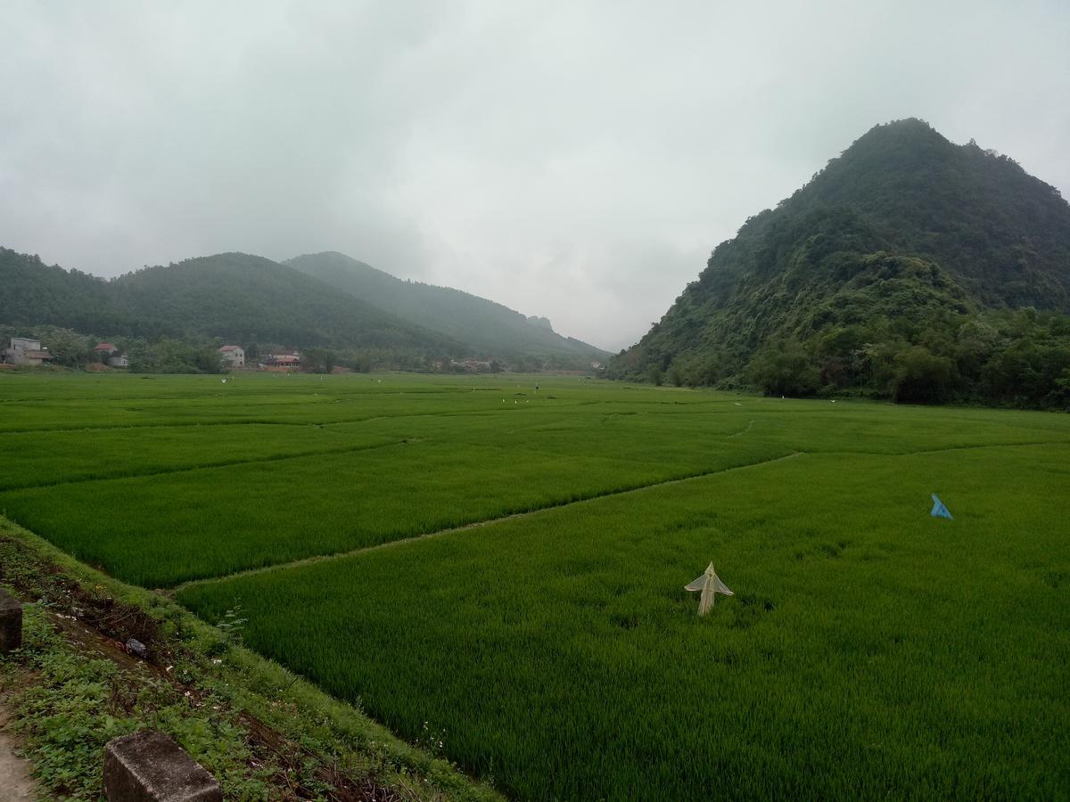 Phong Nha Rice Field Homestay Exteriör bild