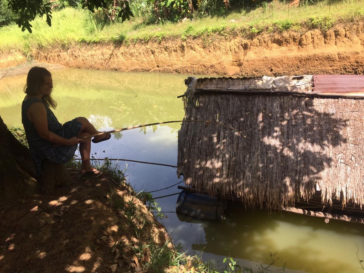 Phong Nha Rice Field Homestay Exteriör bild