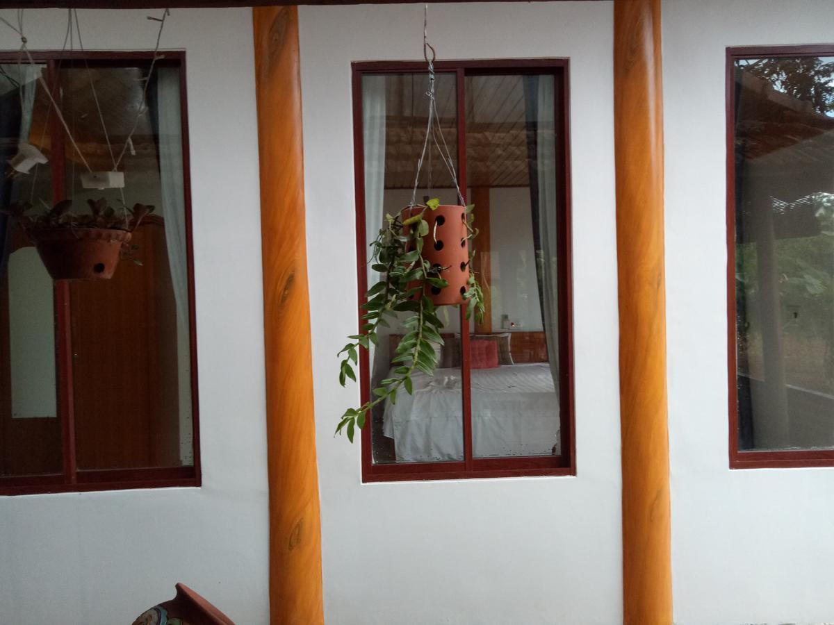 Phong Nha Rice Field Homestay Exteriör bild