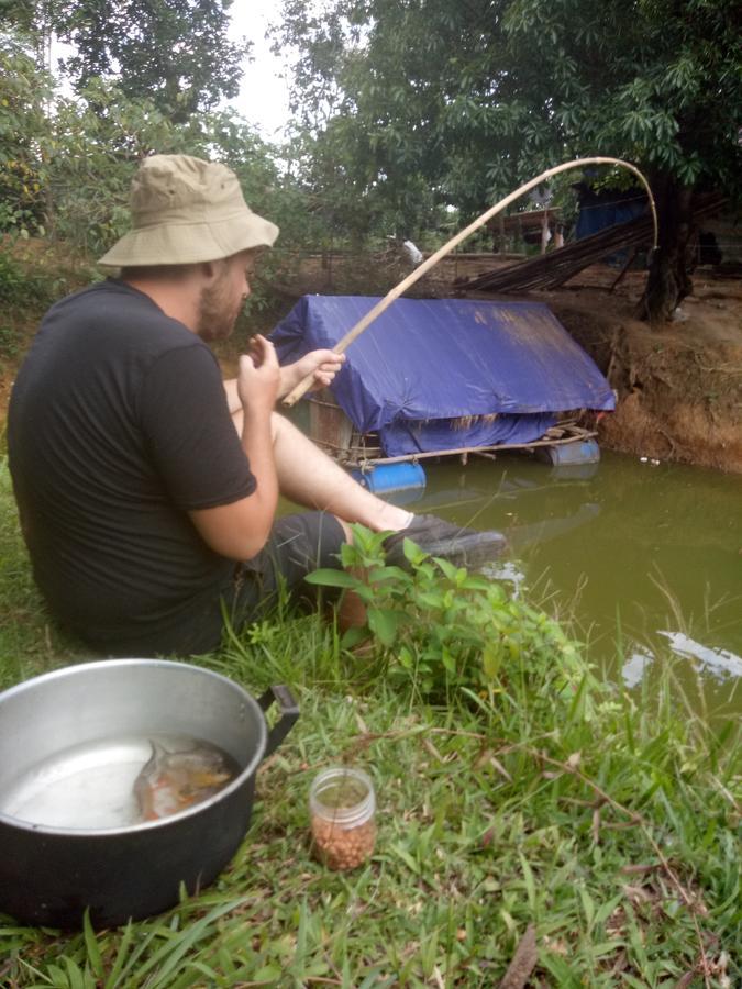Phong Nha Rice Field Homestay Exteriör bild